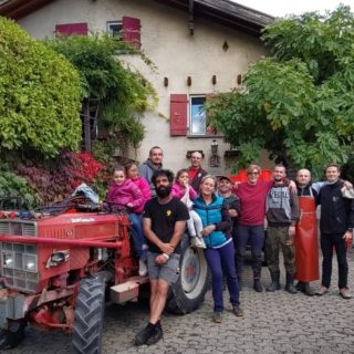 Ce millésime 2024 aura été plein de challenges. Gel de printemps, saison viticole intense avec des pluies régulières et une pression mildiou extrême. Nous nous réjouissons d'avoir terminé les vendanges hier dans la joie. Merci à tous nos collaborateurs qui se sont engagés pour la réussite de ce millésime et à tous ceux qui nous ont supporté, aidé, entouré et encouragé! 
.
#vinsdesalpes #vinduvalais #swisswinevalais #swisswinelovers #viticulturehéroïque #biosuisse #greenmanure #jungeschweizneuewinzer #artisanesduvinsuisse