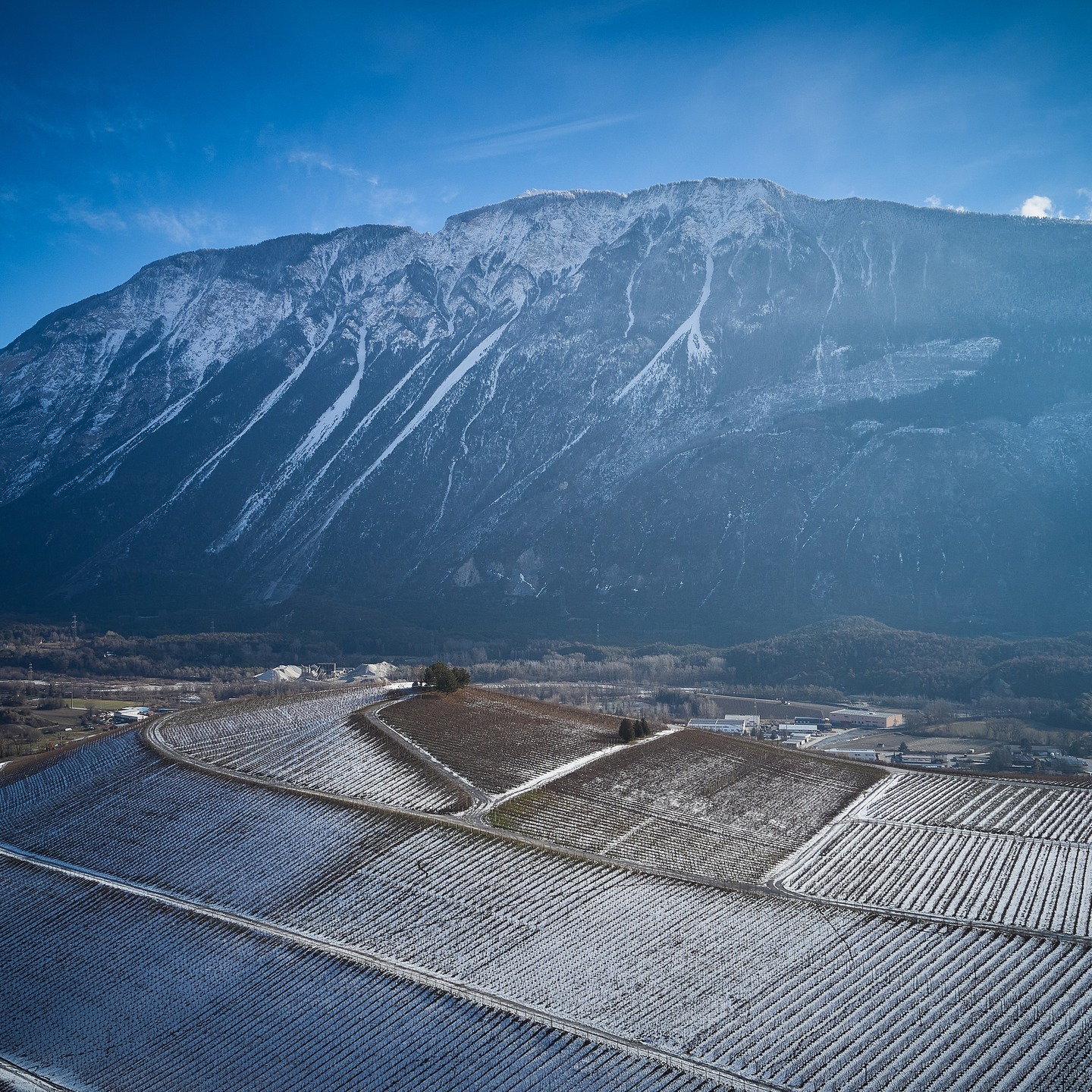 La taille avance, les sommets sont encore blancs et le matin il fait très froid dans les vignes. Nous apprécions beaucoup cette période calme et sereine. ❄
.
#biosuisse #swisswinevalais #alpinewine #marquevalais #reposhivernal