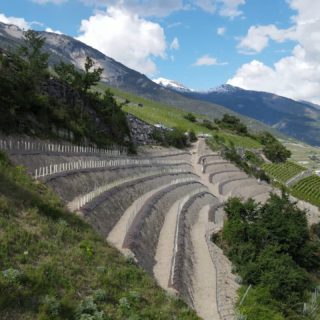 La semaine passée nous avons terminé la plantation de nos parcelles des Cheppons. Un projet de replantation dans ces pentes extrêmes, avec l'aide du canton @service_agriculture_valais et de tous nos merveilleux collaborateurs. 
Remerciements @kevin_lattion 🎬
.
@swisswinevalais @lesfreresdutruy @bio_suisse #PetiteArvine #Cornalin #viticulturedemontagne